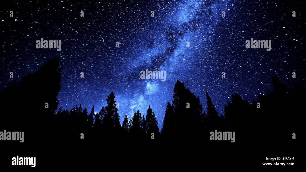 Milky Way in night sky with forest silhouette by stars Stock Photo - Alamy