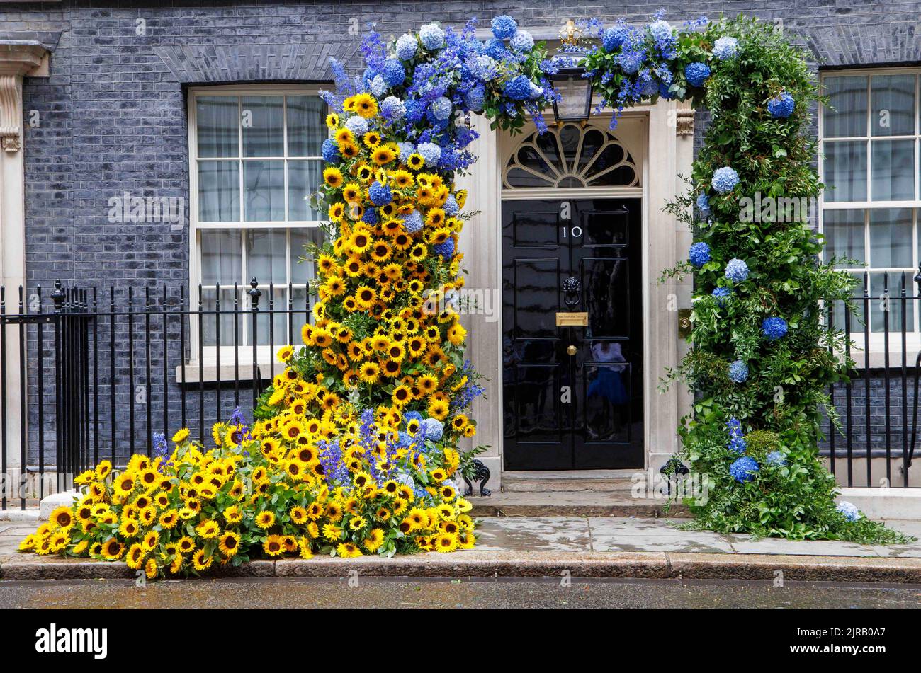 London, UK. 23rd Aug, 2022. The finished display at Number 10 for Independence day for Ukraine. The finishing touches are put on the floral display at Number 10 Downing Street to mark independence day for Ukraine which is tomorrow, August 24th. Credit: Mark Thomas/Alamy Live News Stock Photo