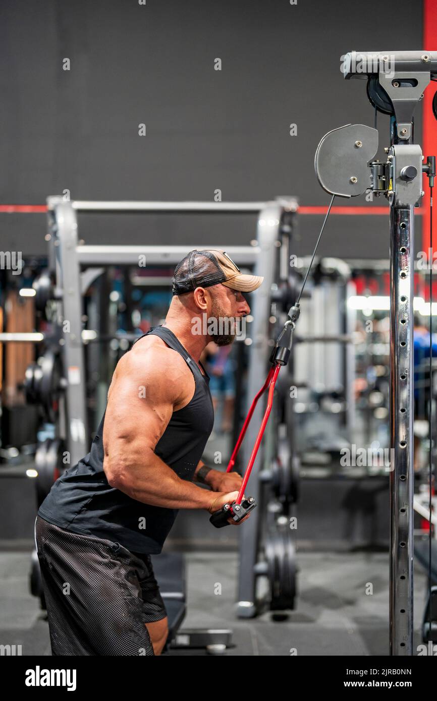 Triceps workout machine sale