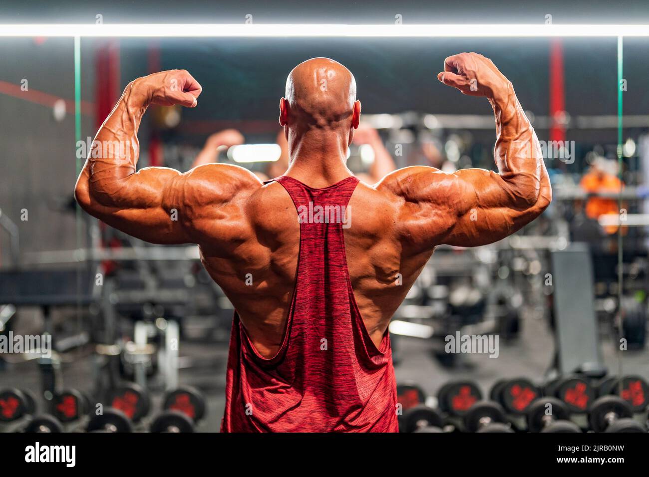 Bodybuilder flexing muscular back standing in gym Stock Photo Alamy