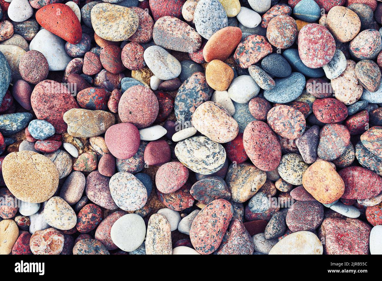 Multicolored colorful sea pebbles, nature background. Small stones. Top view. Stock Photo
