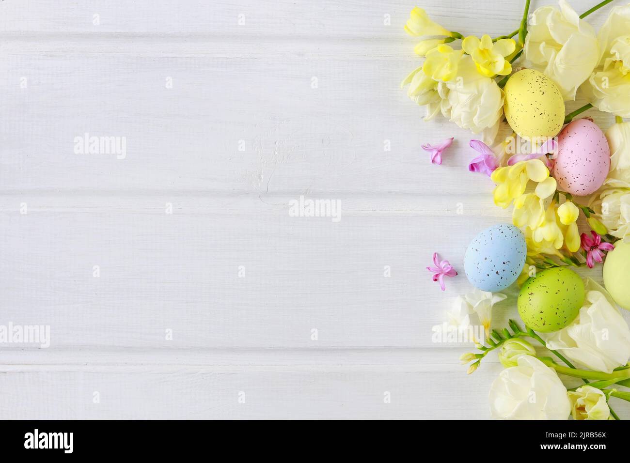 Tulips and freesias on white wooden table. Easter eggs among flowers, copy space. Stock Photo