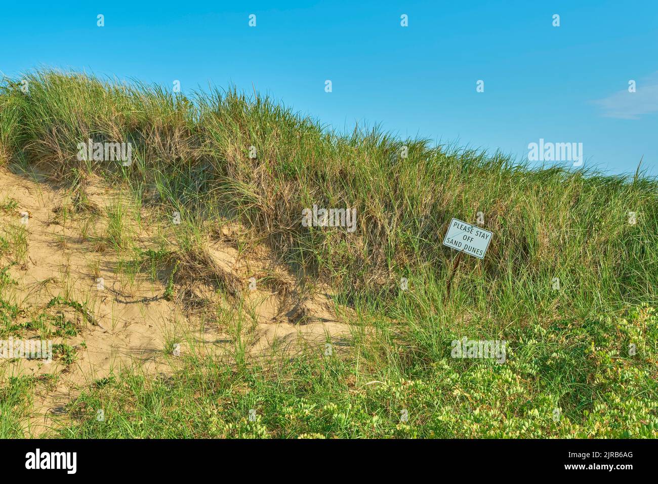 Sign requesting visitors to Breakwater Bead in Port Hood Nova Scotia to stay off the evironmentally sensitive sand dunes along the beach. Stock Photo