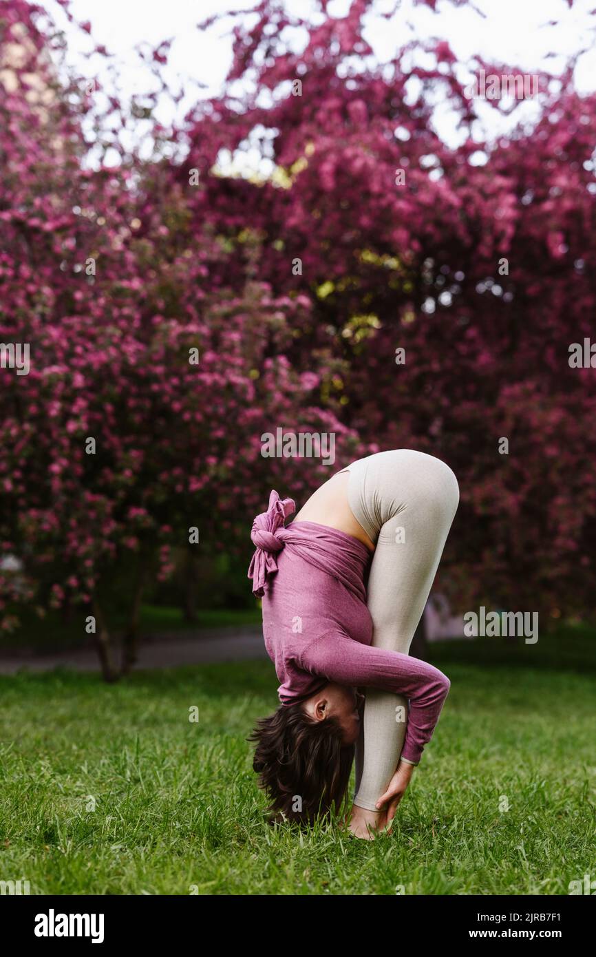 Woman practicing Uttanasana in front of apple blossom trees Stock Photo