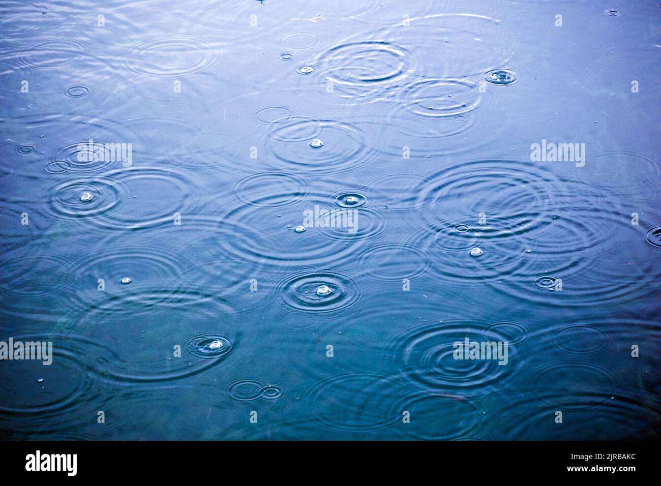 Air bubbles on the surface when it rain Stock Photo Alamy