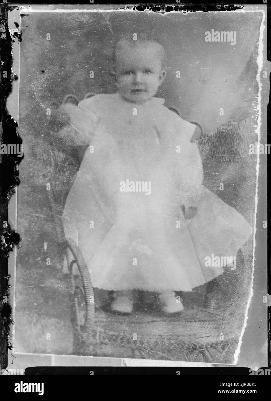 Copy of a portrait of a baby, circa 1920, Wellington, by Berry & Co ...