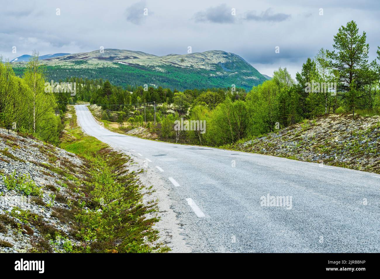 Norway, Innlandet, Empty asphalt road in Rondane National Park Stock Photo