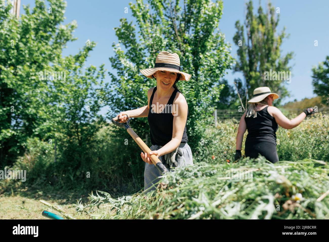 Smiling farmer wearing hat using rake at field Stock Photo - Alamy