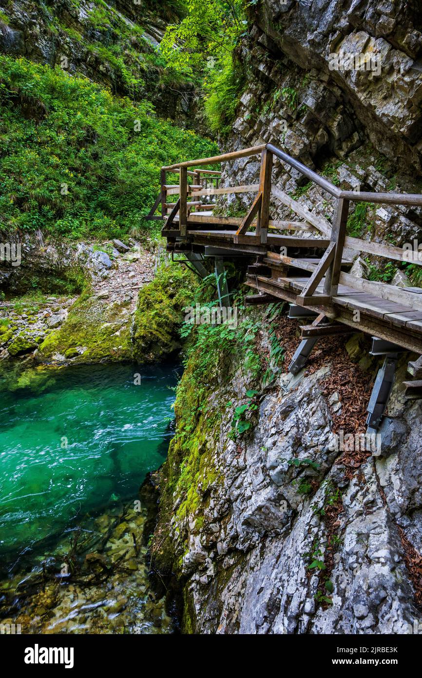 Slovenia, Elevated walkway in Vintgar Gorge with Radovna river in background Stock Photo