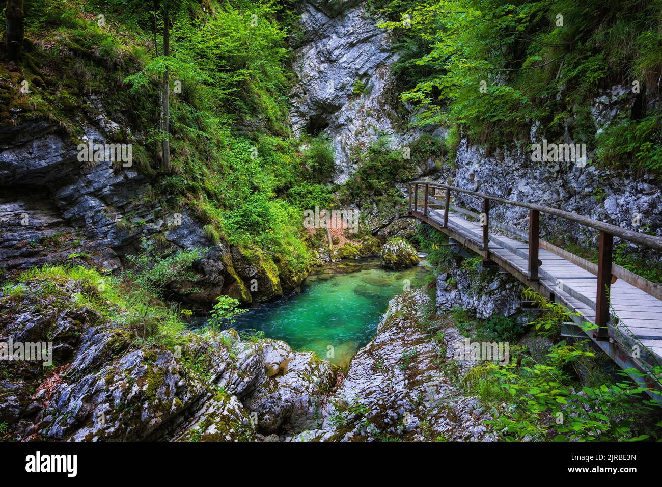Slovenia, Elevated walkway in Vintgar Gorge with Radovna river in background Stock Photo