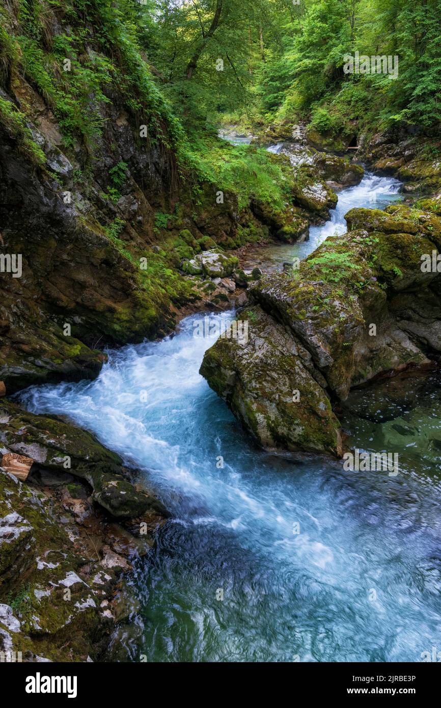 Slovenia, Radovna river flowing through Vintgar Gorge in Triglav National Park Stock Photo