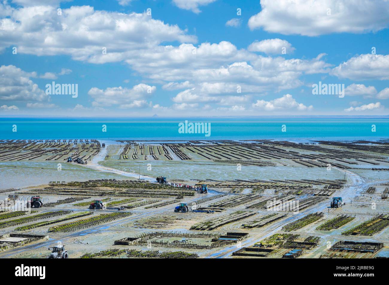 Oyster beds at low tide in oyster farm, Cancale, Brittany, France Stock Photo