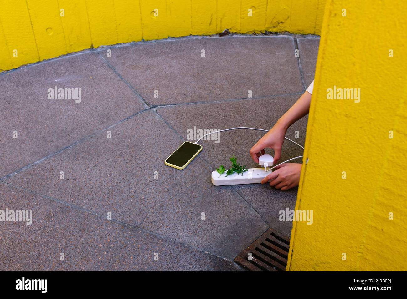 Young woman charging cell phone with plants on extension cord Stock