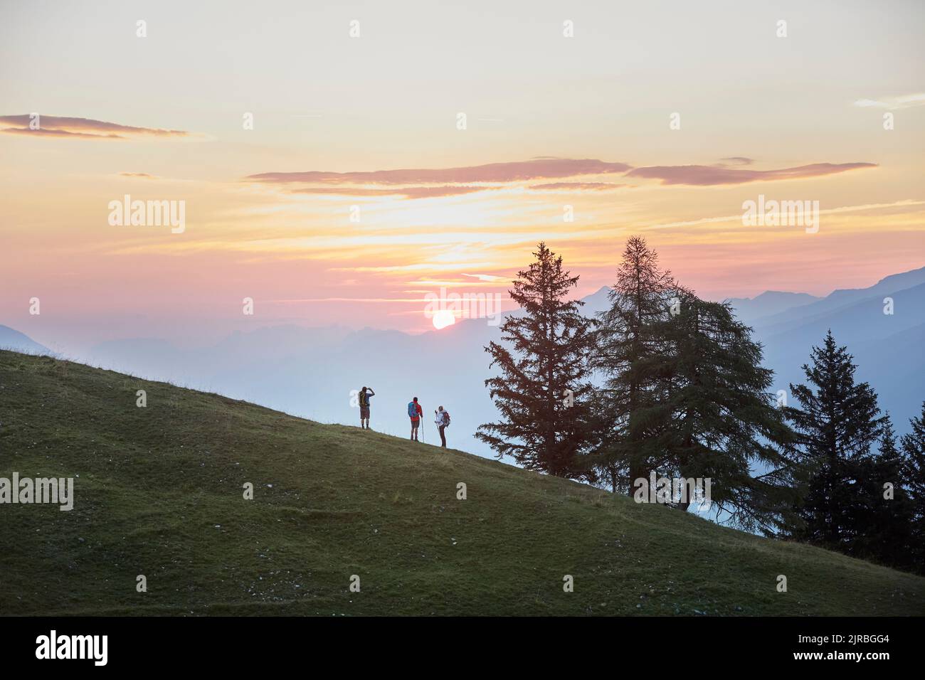 Hikers standing on mountain by trees, Mutters, Tyrol, Austria Stock Photo