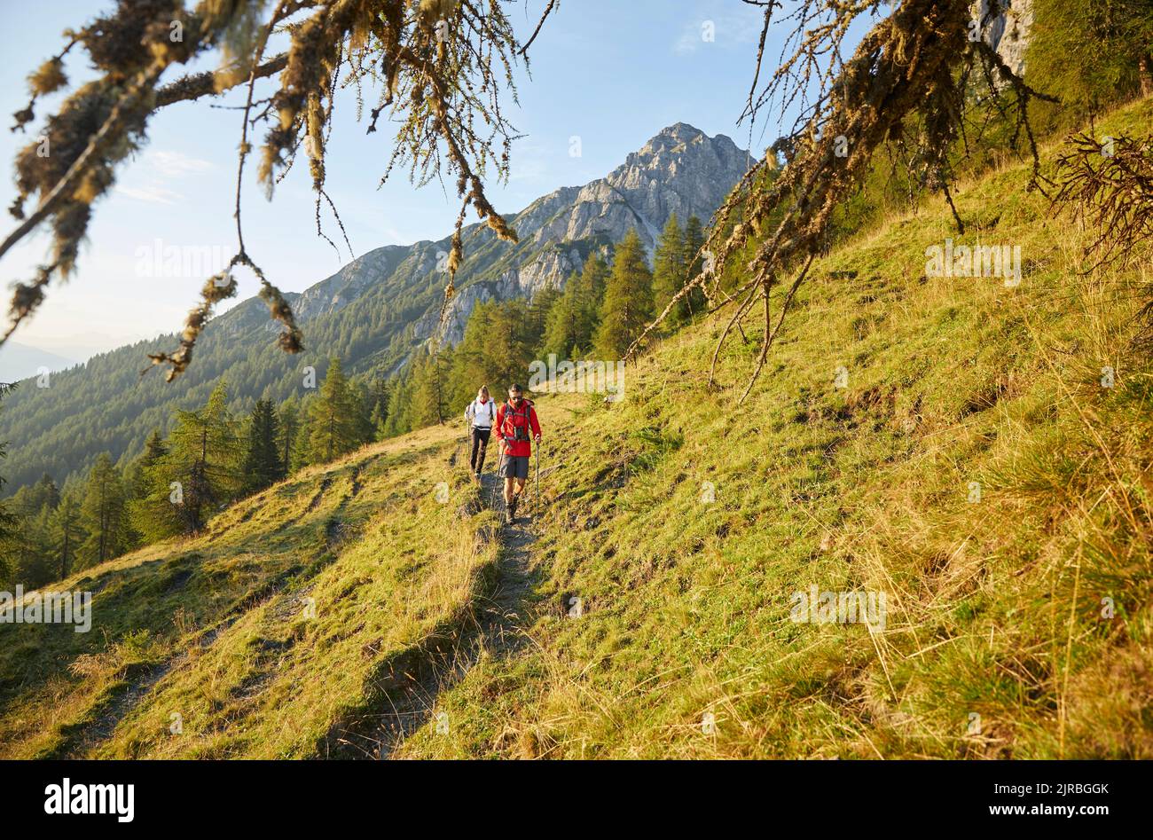 Friends walking on trail at mountain, Mutters, Tyrol, Austria Stock Photo