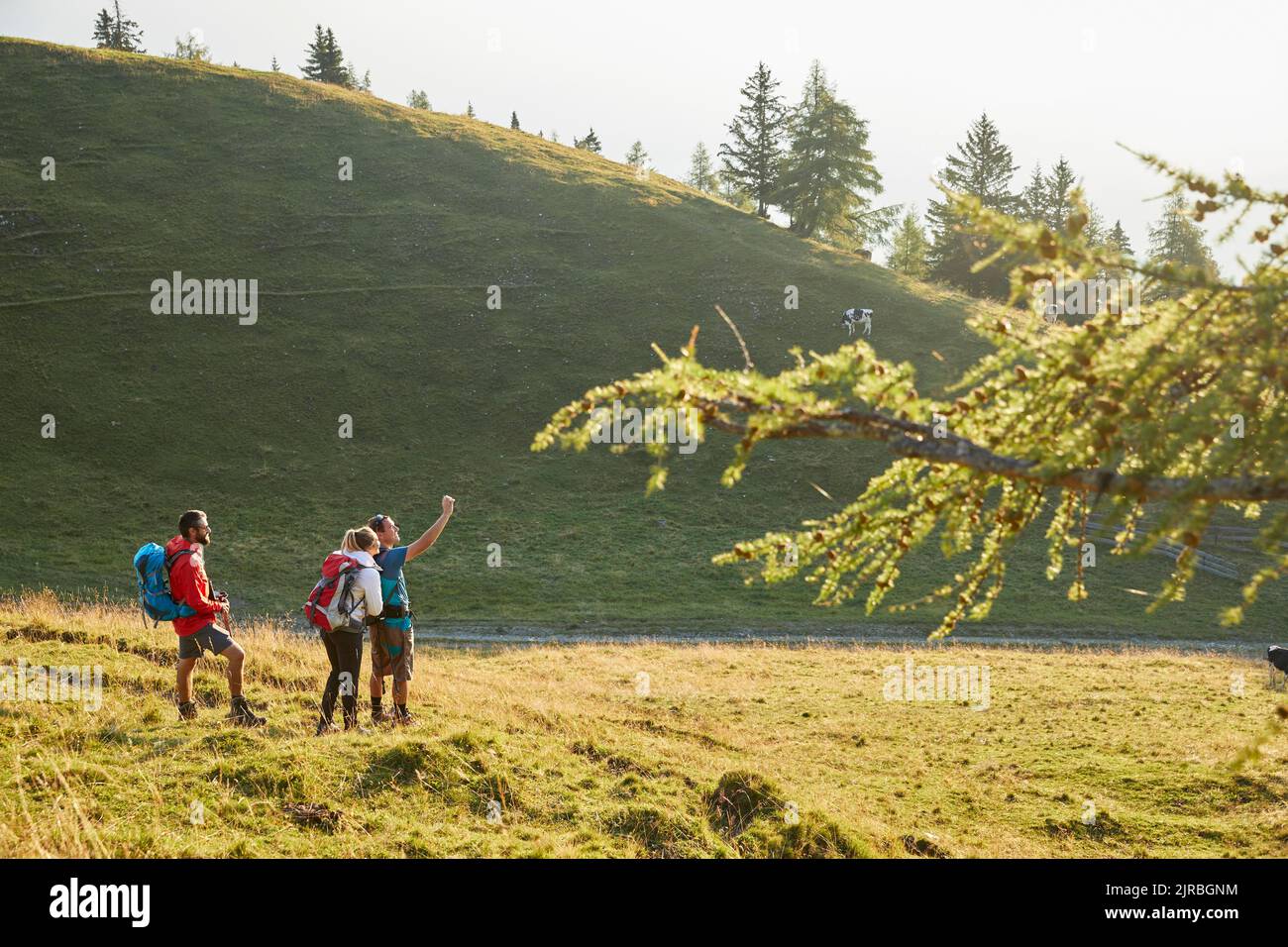 Hikers talking selfie on mountain, Mutters, Tyrol, Austria Stock Photo