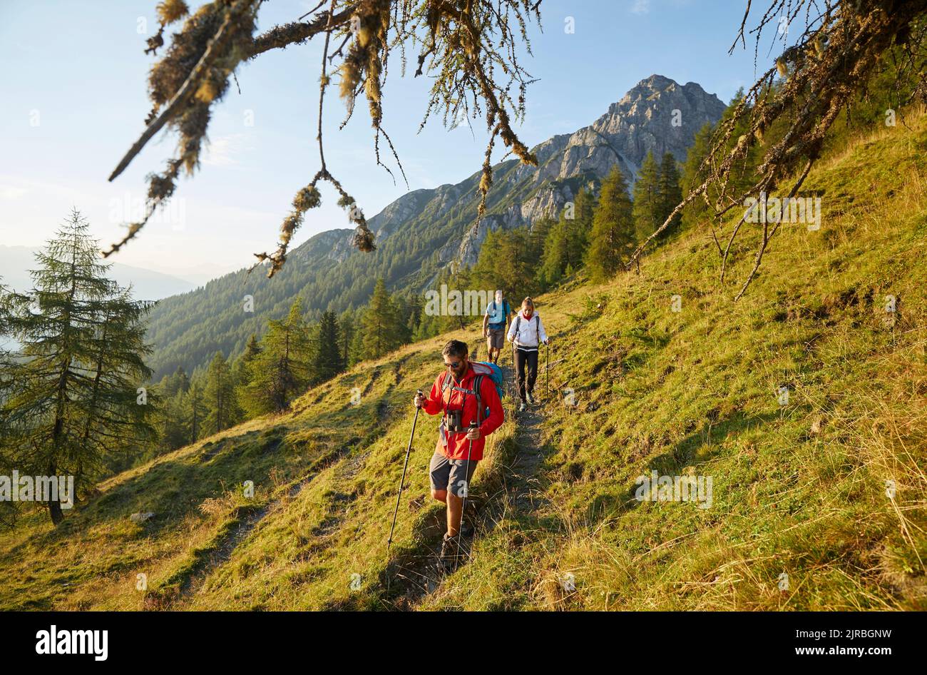 Hikers with poles hiking on mountain, Mutters, Tyrol, Austria Stock Photo
