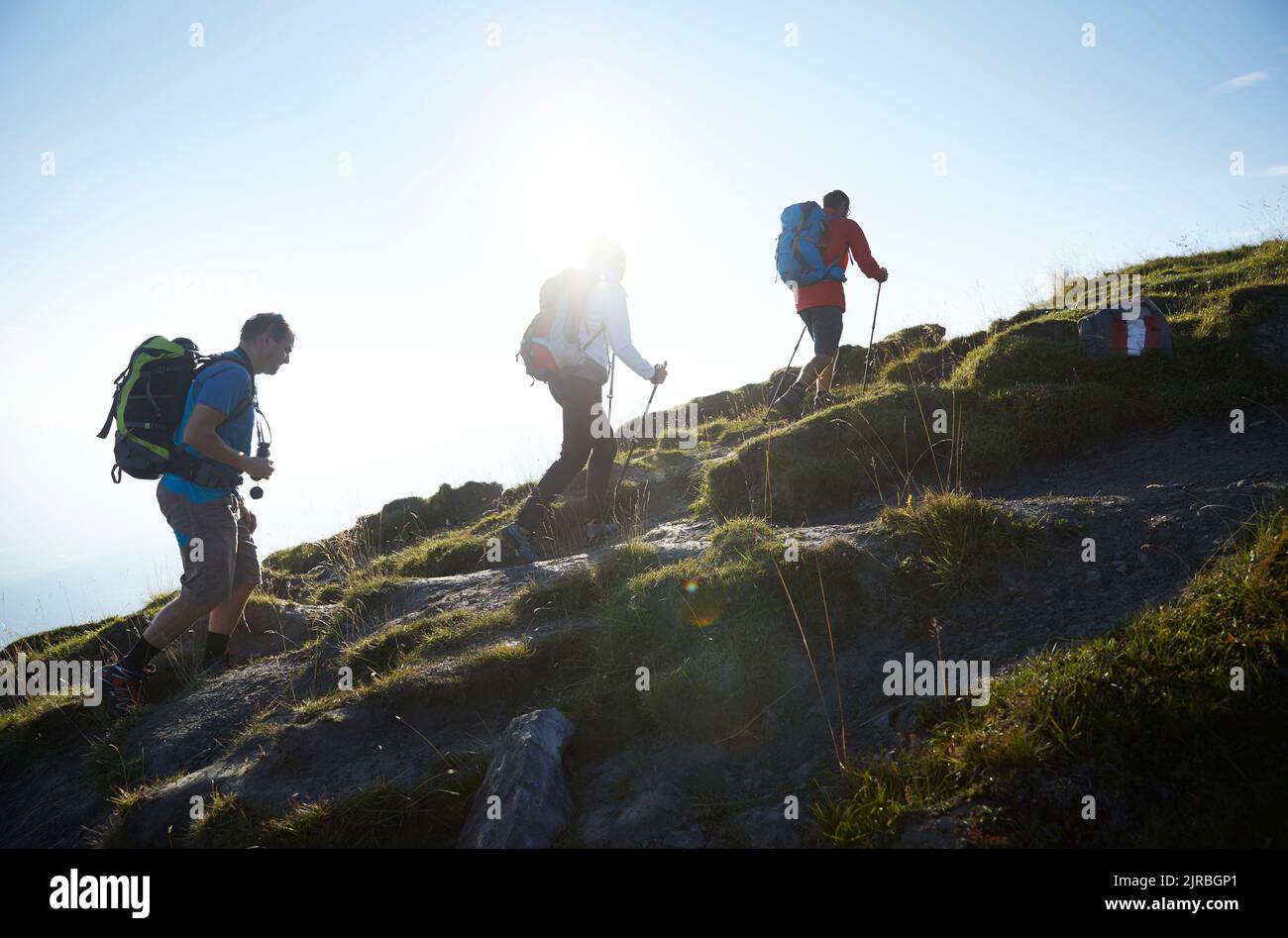 Hikers climbing mountain on sunny day, Mutters, Tyrol, Austria Stock Photo