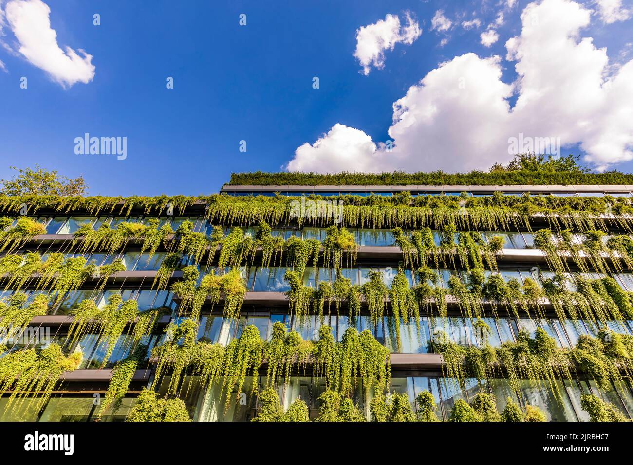 Germany, Baden-Wurttemberg, Stuttgart, Office building covered in green ...