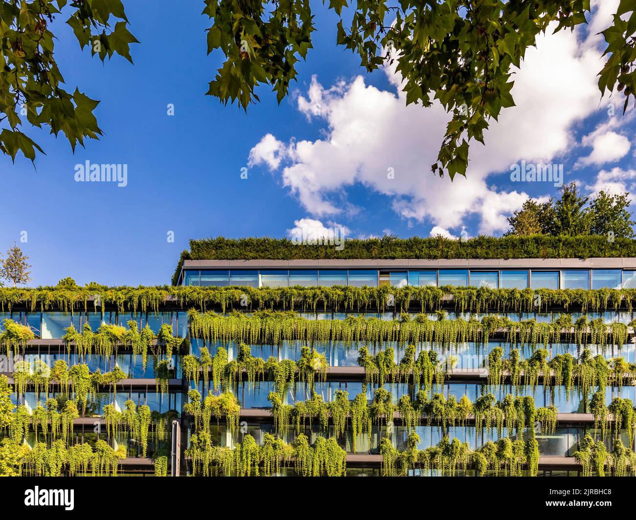 Germany, Baden-Wurttemberg, Stuttgart, Office building covered in green ...