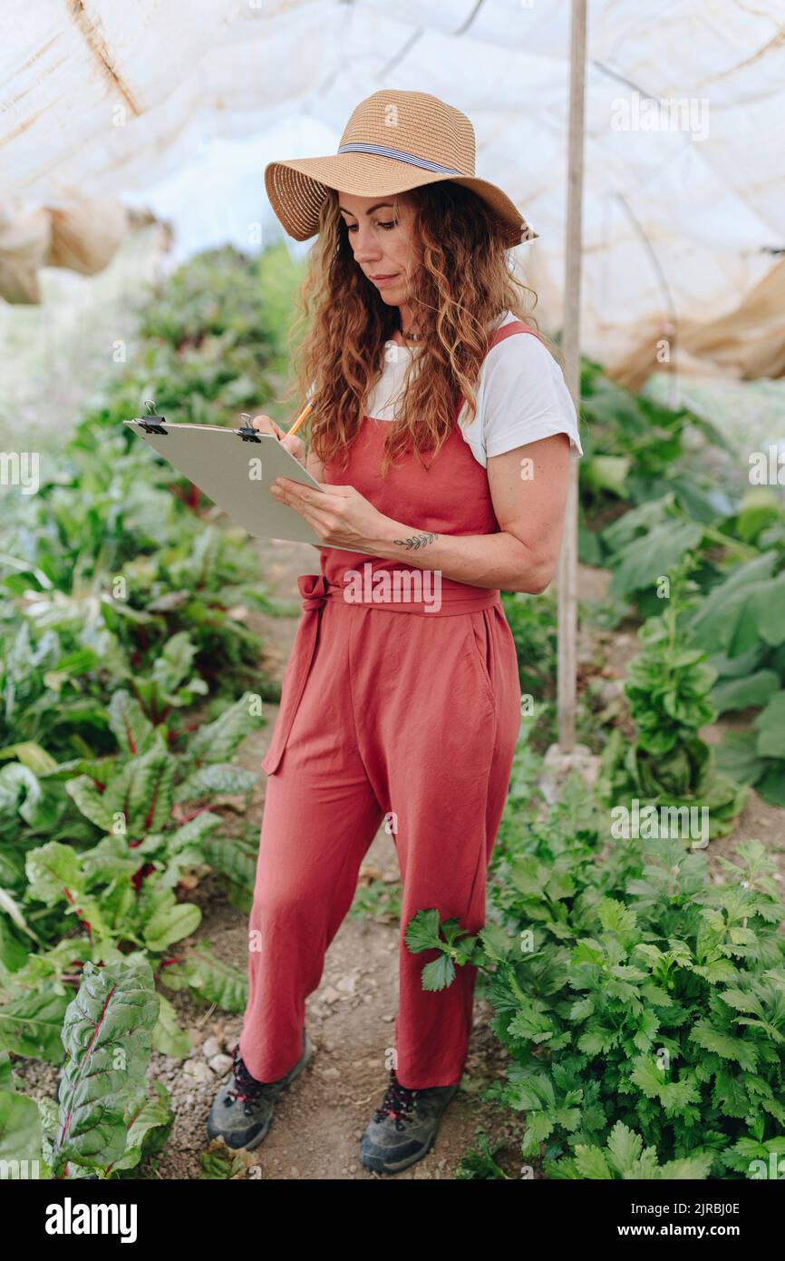 Farmer with clipboard taking inventory in greenhouse Stock Photo