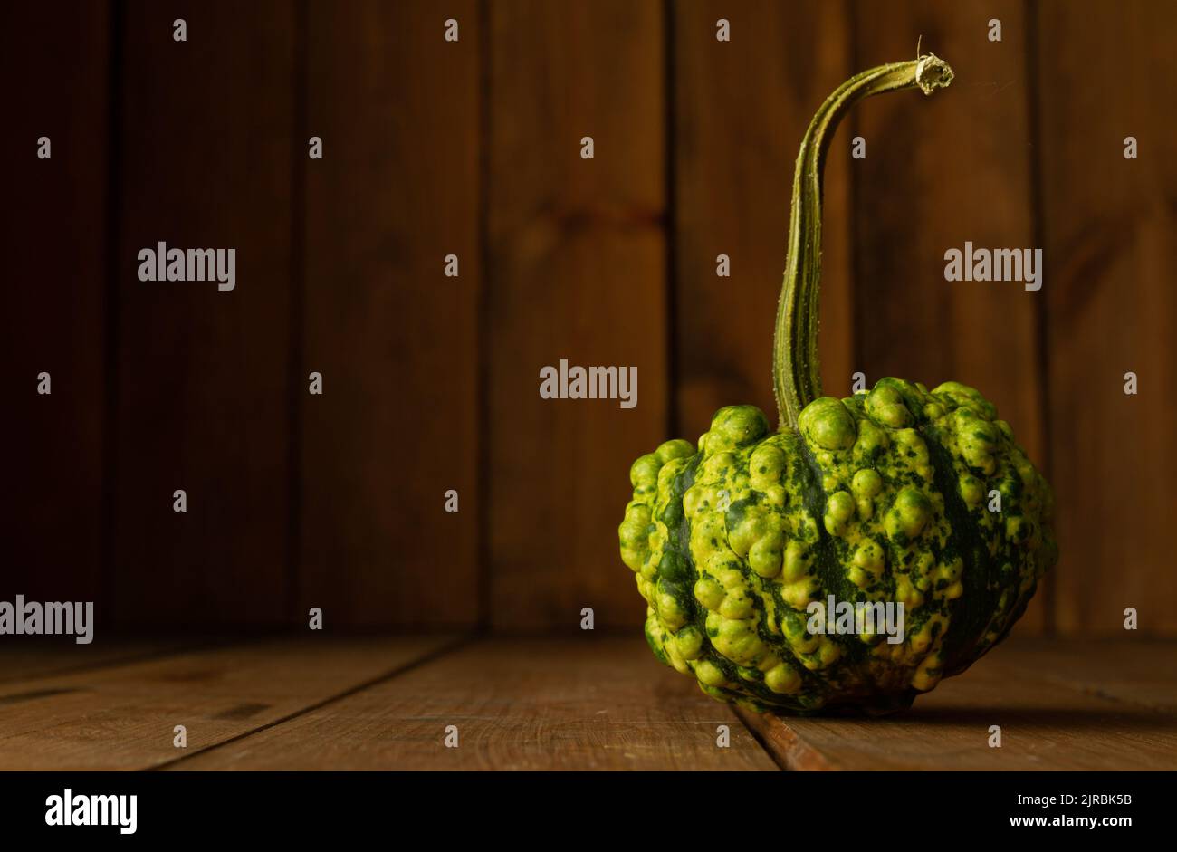 Small decorative green autumn pumpkin or squash on a wooden background with copy space. Stock Photo