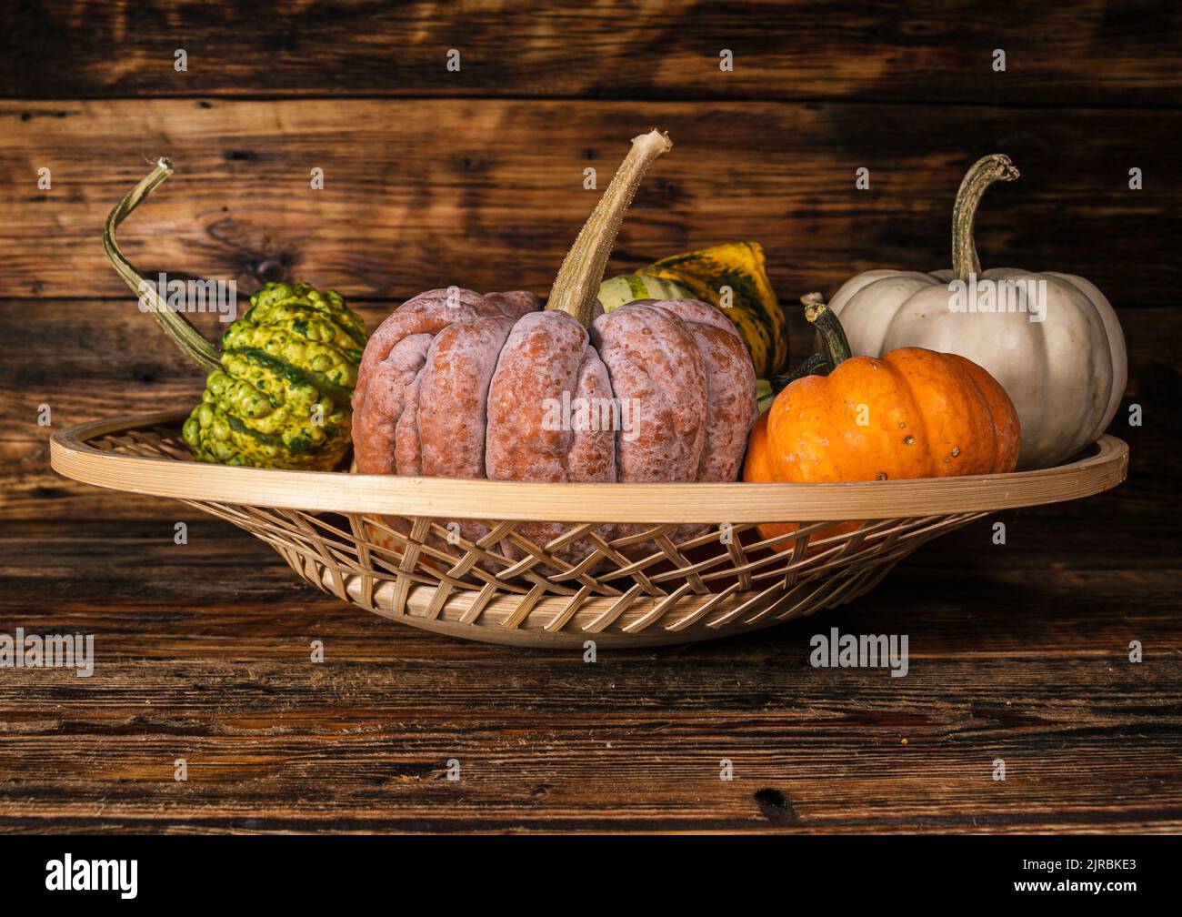 Kogigu Japanese variety of butternut squash, Baby Boo with other types