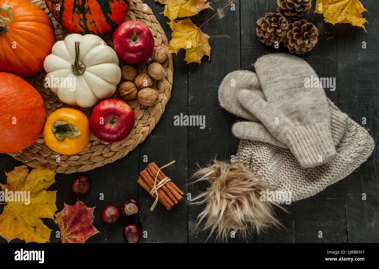 Warm knitted winter hat with pom pom and gloves. Fall flat lay composition, with pumpkins, apples, kaki, nuts, cinnamon sticks, cones, autumn leaves. Stock Photo