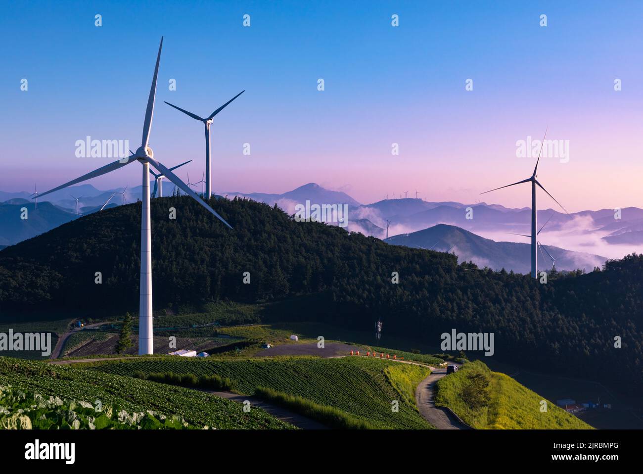 Wind turbines landscape on top of alpine region at beautiful sunrise. Taebaek-si, Gangwon-do, South Korea. Stock Photo