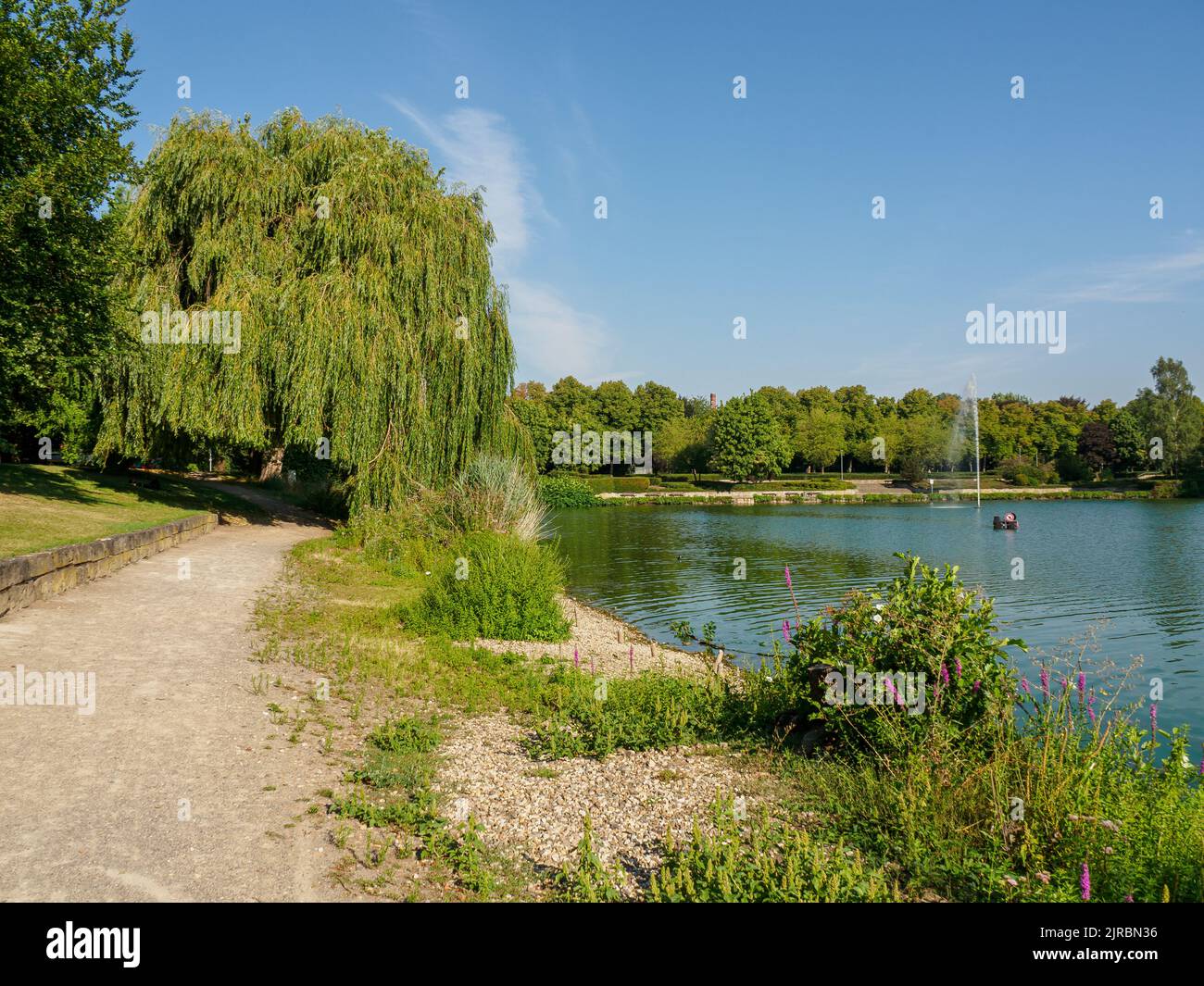 Lake Aasee in Bocholt Stock Photo Alamy