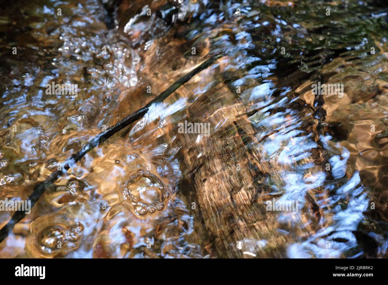 Creek waters flow and sun reflections play in close-up Stock Photo