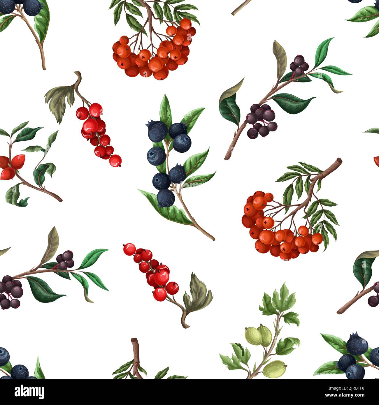 Seamless pattern with berries, such as rowan, blueberries and other. Vector. Stock Vector