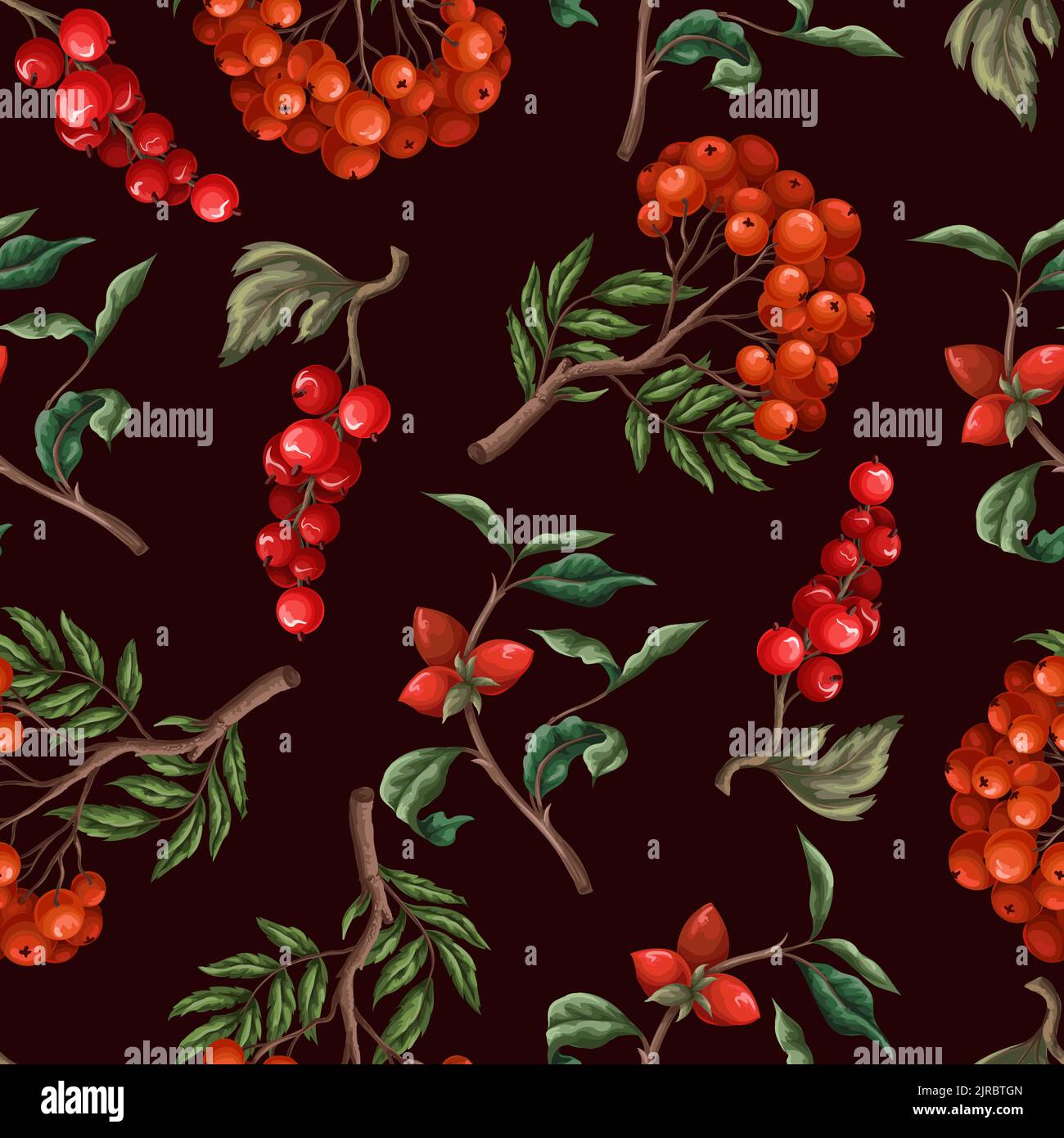 Seamless pattern with berries, such as rowan, blueberries and other. Vector. Stock Vector