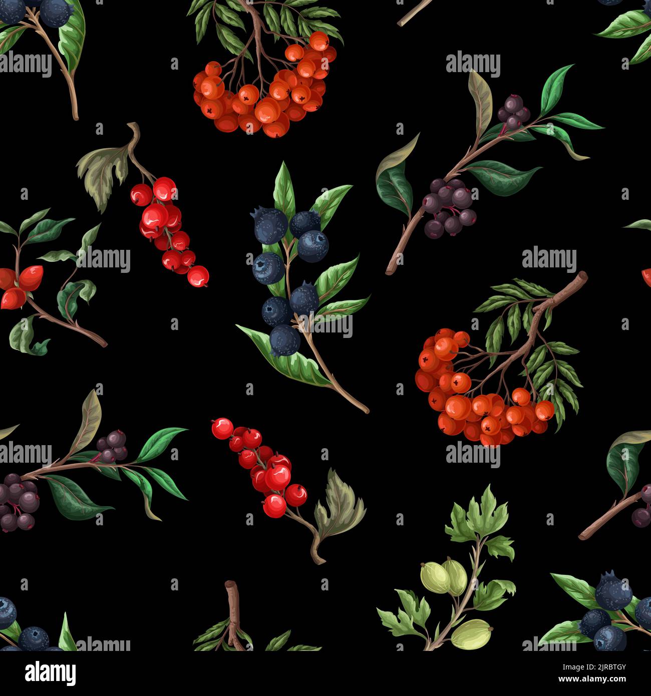 Seamless pattern with berries, such as rowan, blueberries and other. Vector. Stock Vector