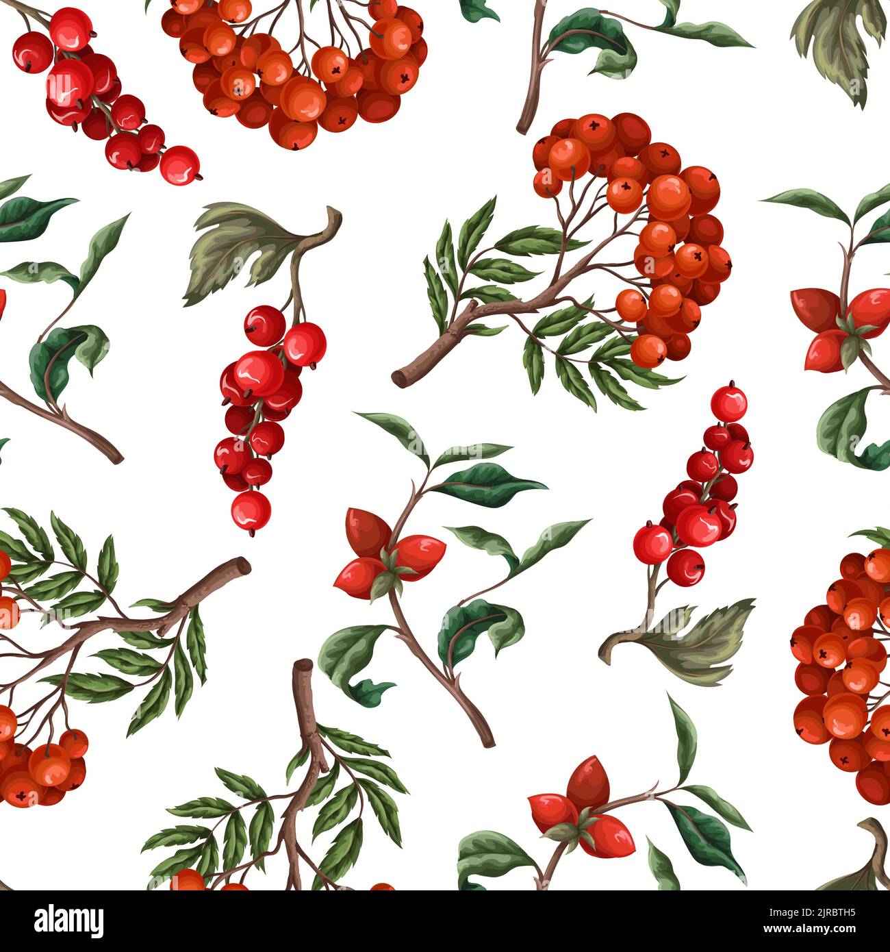 Seamless pattern with berries, such as rowan, blueberries and other. Vector. Stock Vector