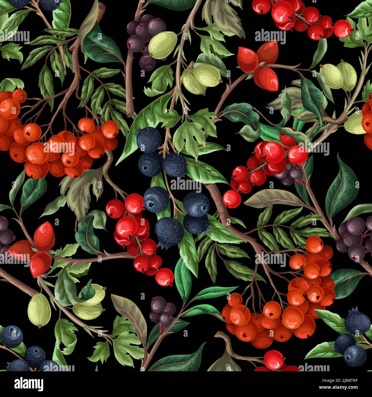 Seamless pattern with berries, such as rowan, blueberries and other. Vector. Stock Vector