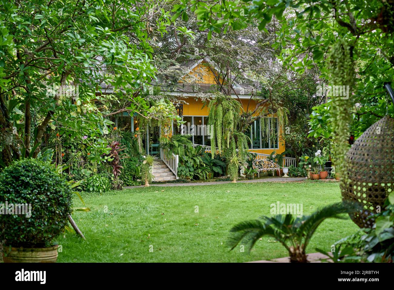 A beautiful cafe surrounded by lush green trees and plants, in Thailand. Stock Photo