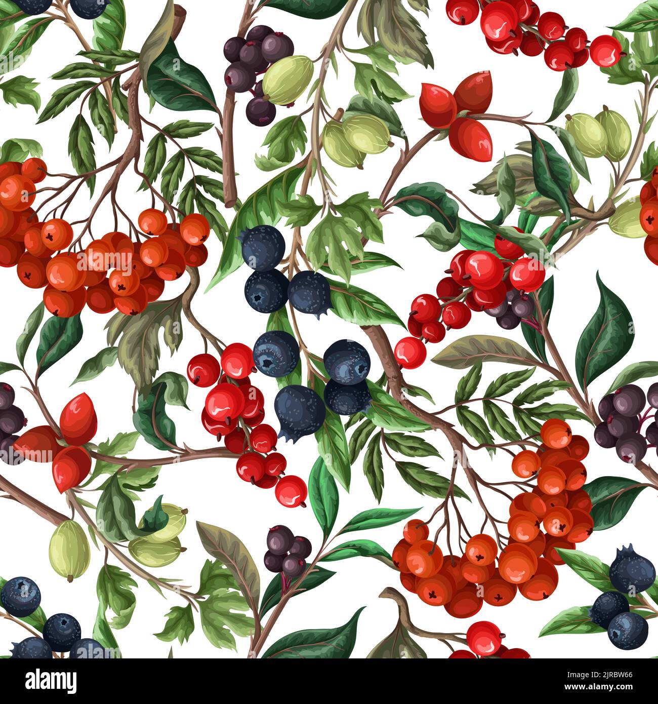 Seamless pattern with berries, such as rowan, blueberries and other. Vector. Stock Vector
