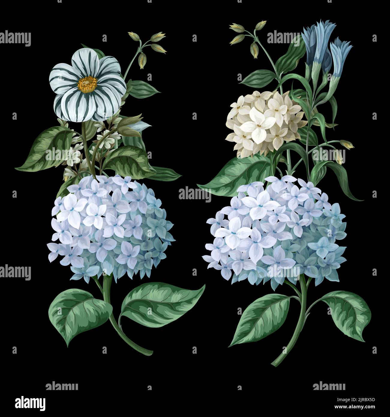 Bouquets with blue hydrangeas and other flowers isolated. Vector. Stock Vector