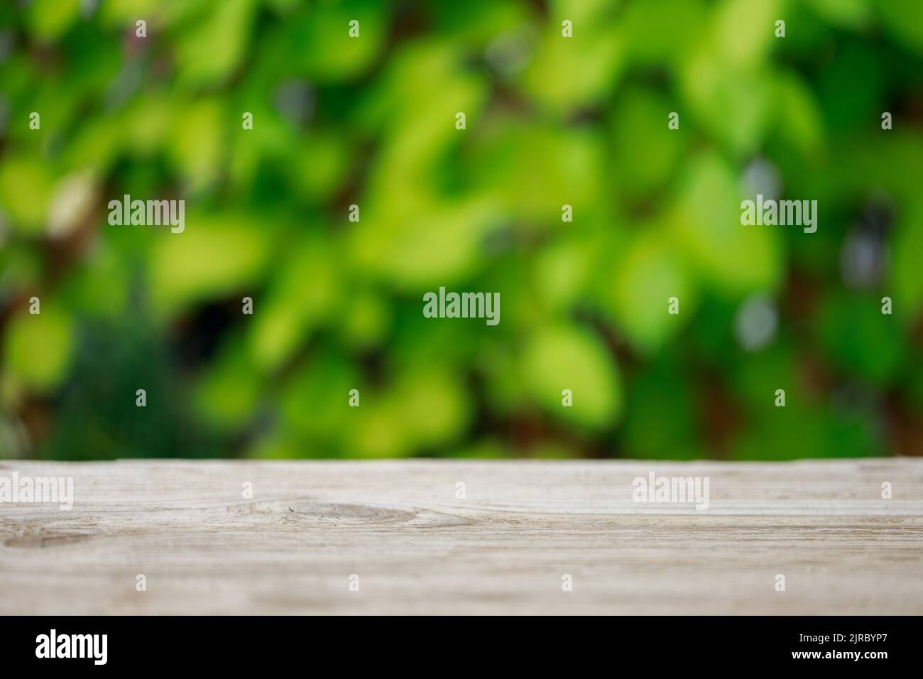 Wood table top texture on blur leaf tree garden background. For create product display Stock Photo