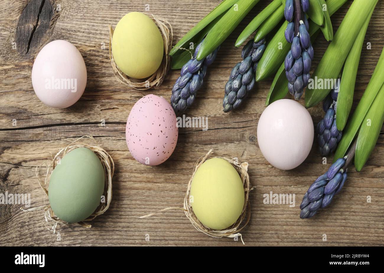 Violet hyacinth flowers and Easter eggs on wooden background. Graphic resources Stock Photo