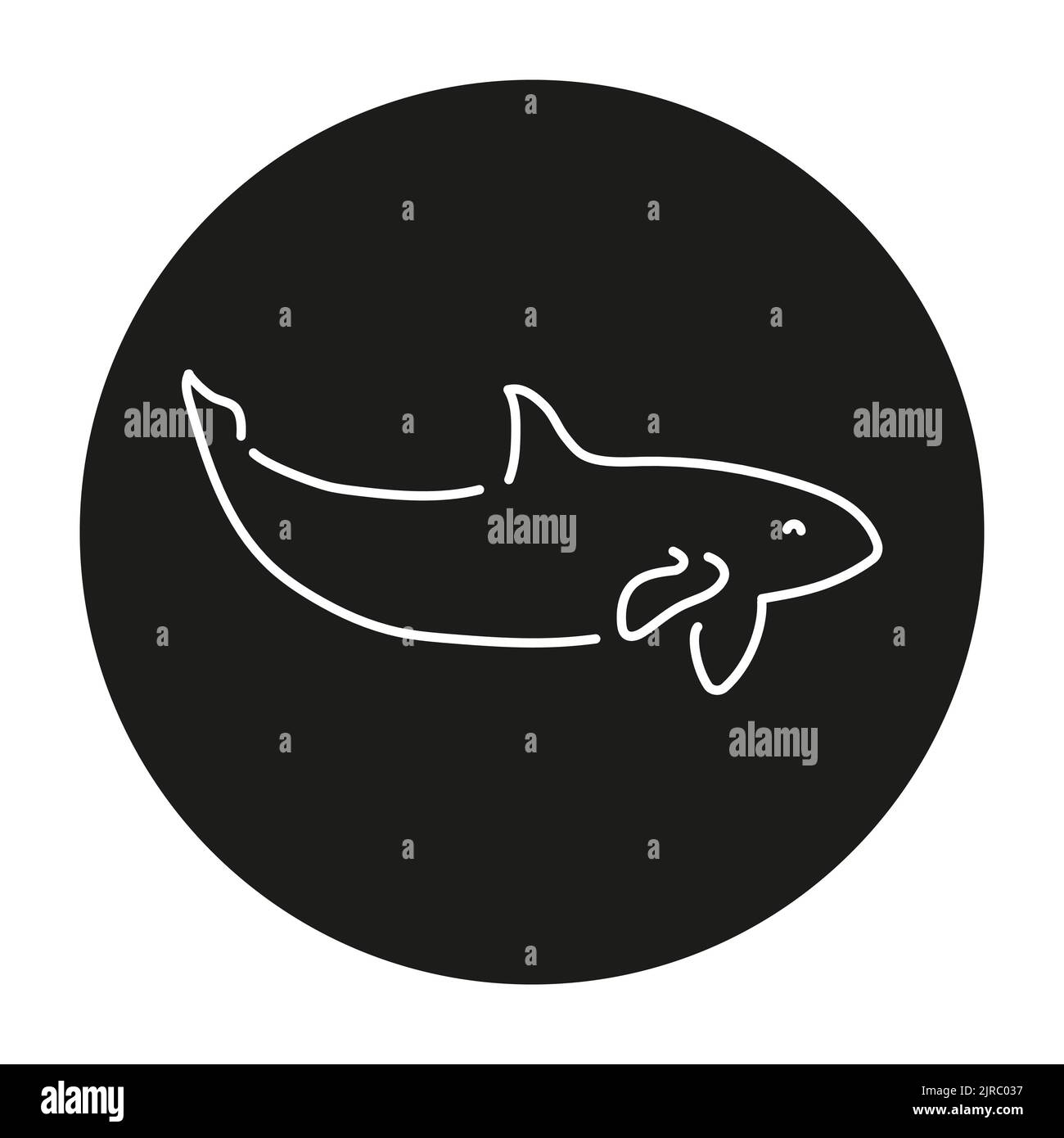 Killer whale color line illustration. Marine mammals Stock Vector Image