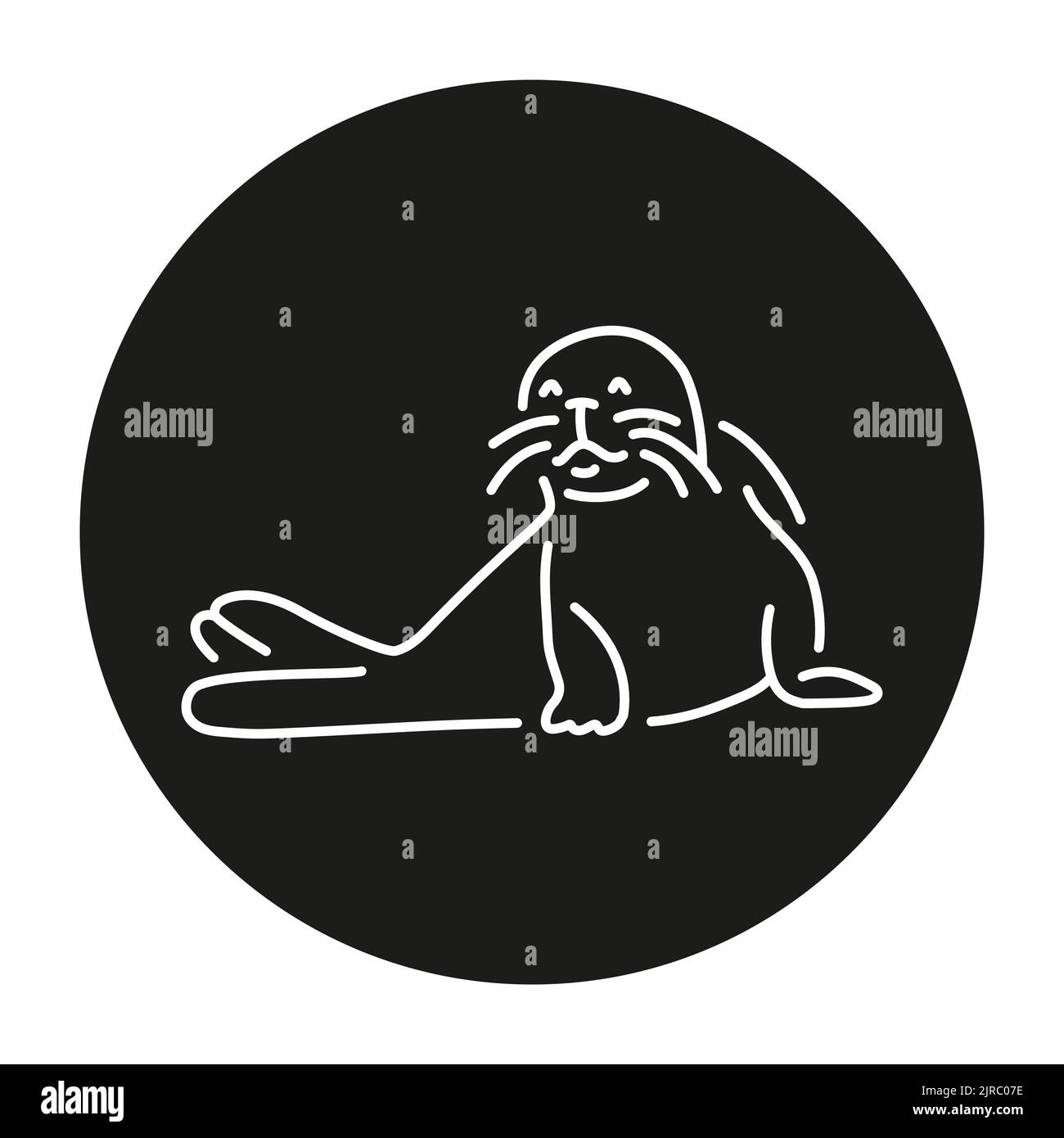 Seal color line illustration. Marine mammals Stock Vector Image & Art ...