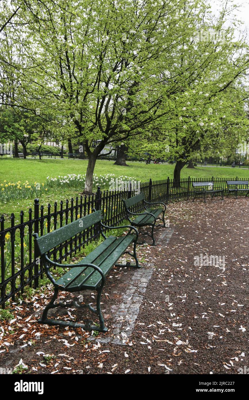 Wooden bench in public park. Relax time Stock Photo