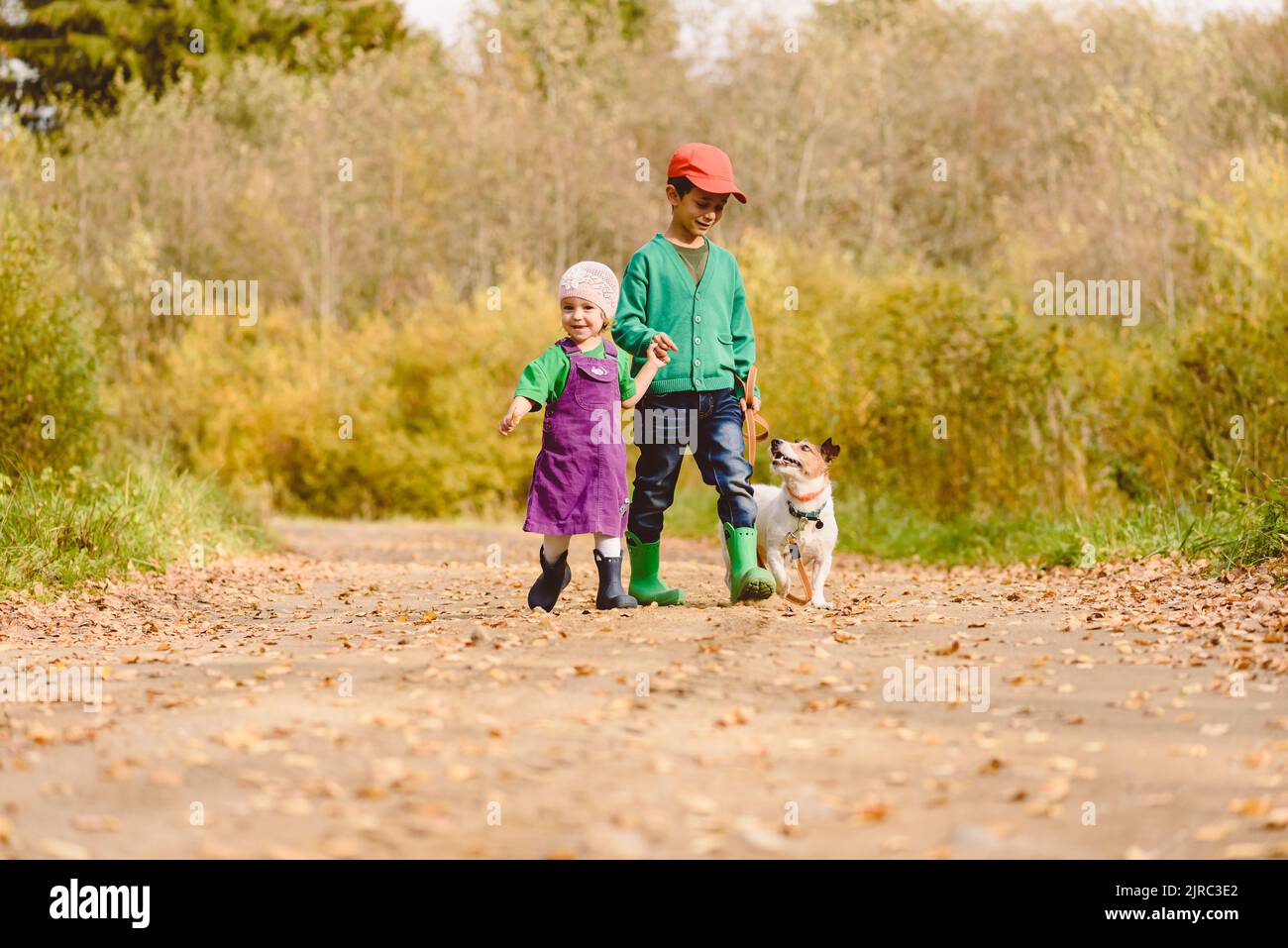 Little children walking with family dog along country dirt road Stock Photo
