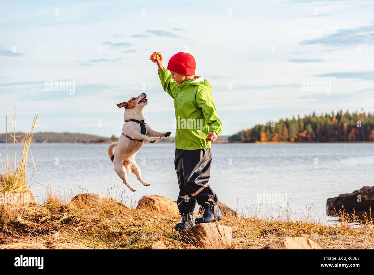 Kid boy balancing on stone playing with dog jumping high for toy. Family rests on beach on Autumn day Stock Photo