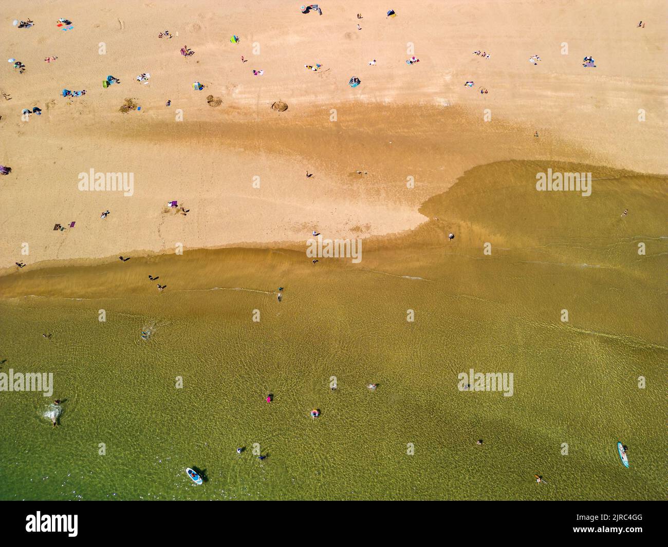 Top down aerial view of people on a busy sandy beach (Broad Haven South, Wales, UK) Stock Photo