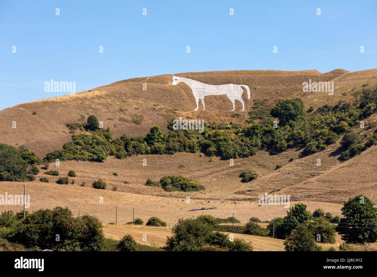 Wiltshire Countryside and Westbury White Horse after prolonged dry weather during the summer heat wave, Westbury, Wiltshire, England, UK Stock Photo