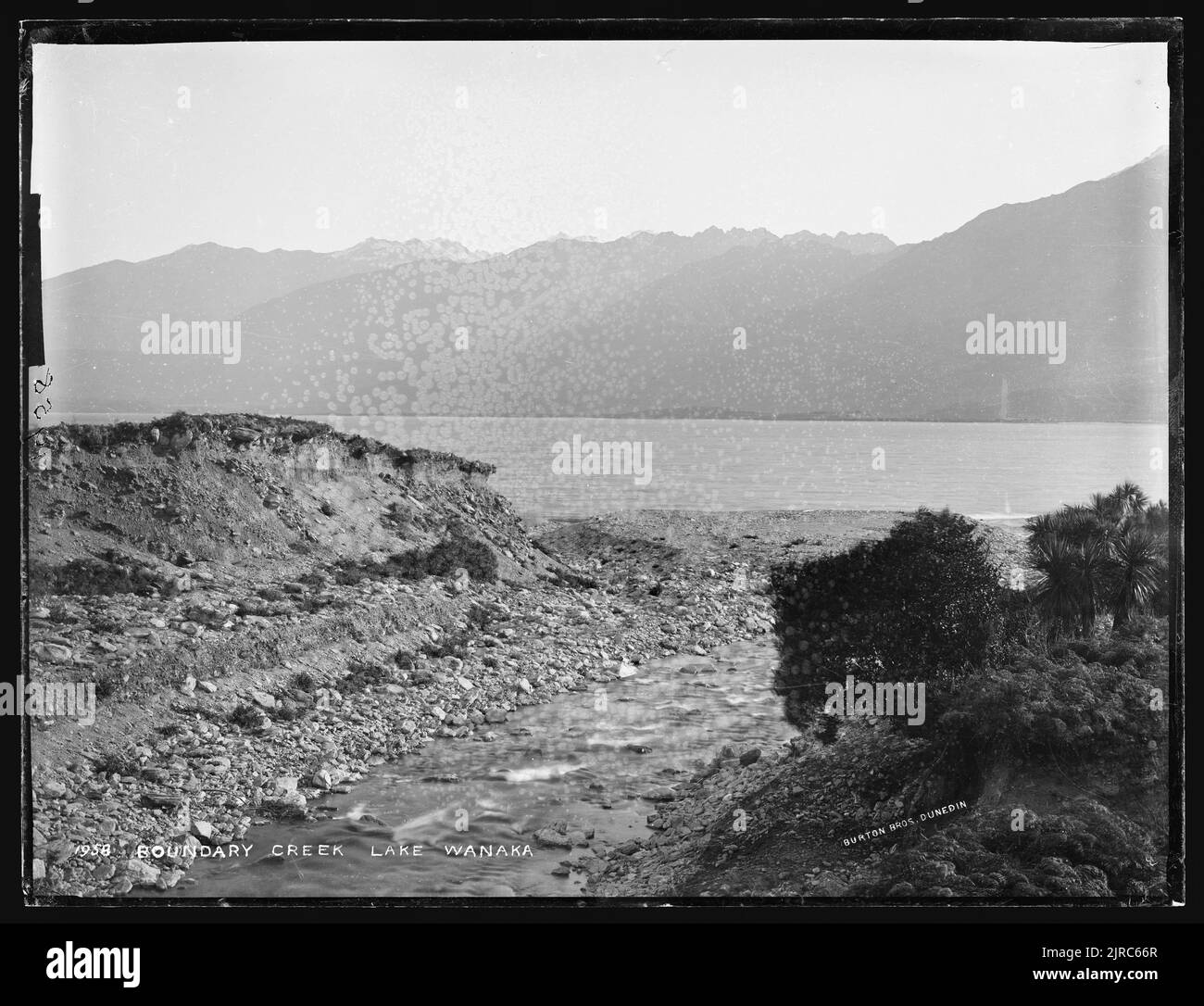 Boundary Creek, Lake Wanaka, New Zealand, by Burton Brothers Stock