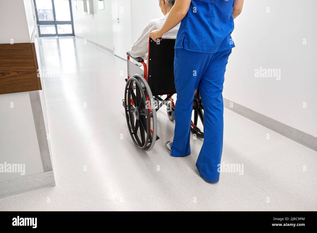 nurse with senior patient in wheelchair at clinic Stock Photo Alamy